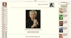 Desktop Screenshot of ninpo.org.ua